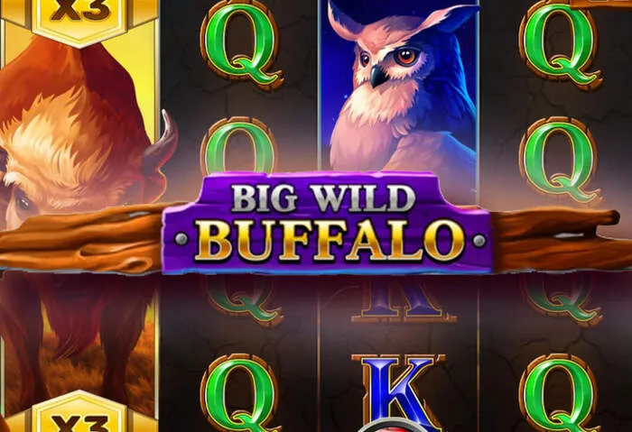 Ícone do site Campeonbetcasinodownload, garantindo acesso seguro e rápido a bônus e jogos.